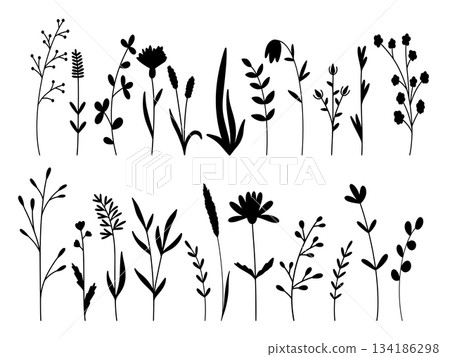 Botanical silhouette set of wildflowers and herbs 134186298