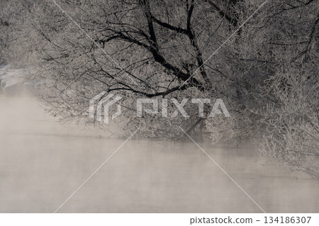 Otowa Bridge's frosted river scenery Otowa Bridge's frosted river scenery 134186307