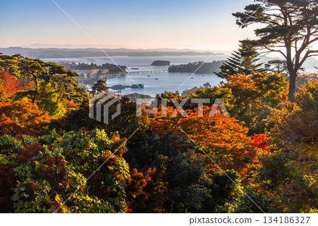 [宮城縣_松島] 從西行莫東之松公園欣賞松島灣的秋景 134186327