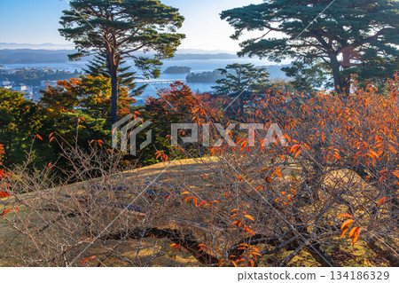 [Miyagi Prefecture_Matsushima] Autumn view of Matsushima Bay from Saigyo-modoshinomatsu Park 134186329