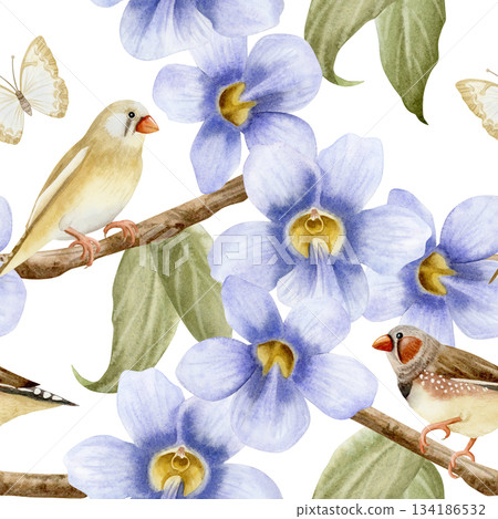 Watercolor songbirds on blooming garden vine flowers seamless pattern on white. Pastel purple blossom of Thunbergia climbing liana plant for spring floral designs with pastel beige butterflies 134186532