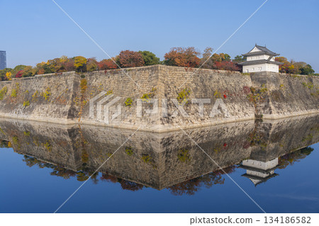 大阪城第一塔南外護城河秋季賞楓季 134186582