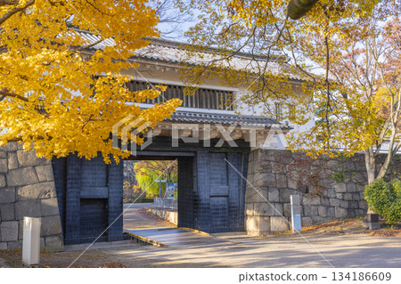 大阪城公園的秋景：青谷門與金色的銀杏葉 134186609