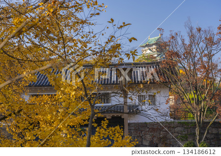 大阪城公園的秋景：青谷門與金色的銀杏葉 134186612