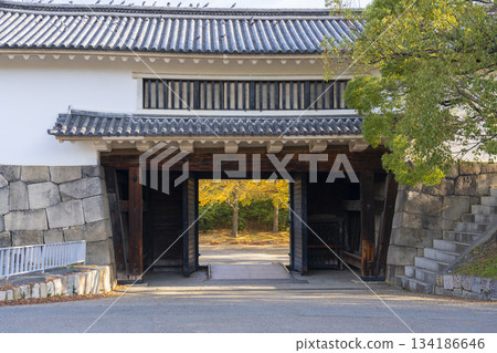 大阪城公園的秋景:青谷門與金色的銀杏葉 大阪城公園的秋景:青谷門與金色的銀杏葉 134186646