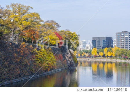 秋天的大阪城公園 秋天的大阪城公園 134186648