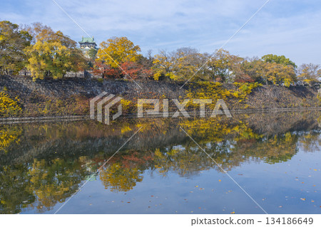 The Osaka Castle tower against the blue sky, the season of autumn leaves The Osaka Castle tower against the blue sky, the season of autumn leaves 134186649