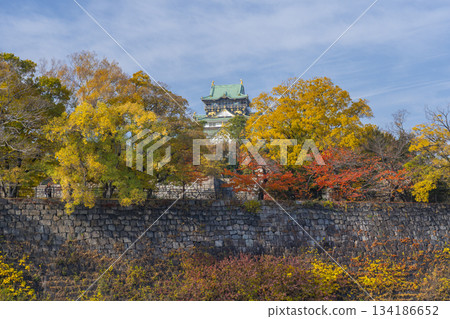 The Osaka Castle tower against the blue sky, the season of autumn leaves 134186652