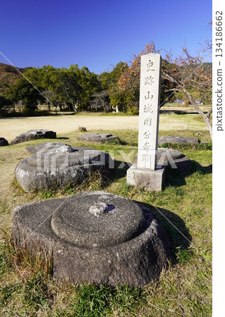 國京山城國分寺遺址,柿子樹 國京山城國分寺遺址,柿子樹 134186662