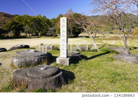 Kunikyo, Yamashiro Kokubunji Temple ruins, persimmon tree 134186663