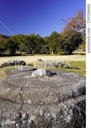 國京山城國分寺遺址，柿子樹 134186668
