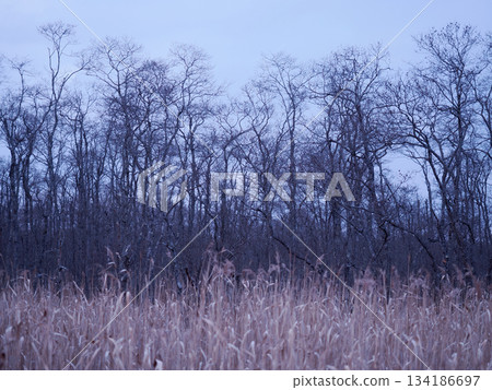 奧內奈遊客中心的步道 134186697