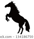 Horse silhouette 134186750
