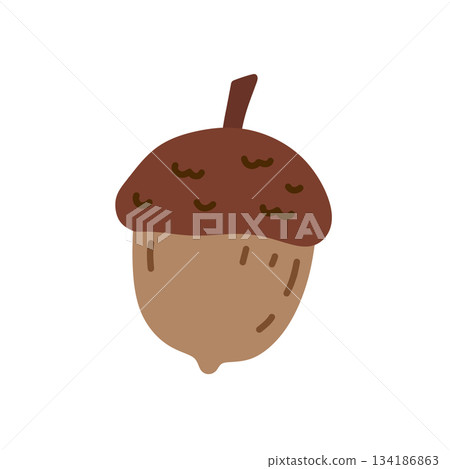 Acorn isolated on a white background. Acorn isolated on a white background. 134186863