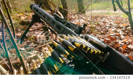 Heavy Machine Gun with Ammunition Belt on Forest Floor Powerful Firepower and Tactical Gear Heavy Machine Gun with Ammunition Belt on Forest Floor Powerful Firepower and Tactical Gear 134187019