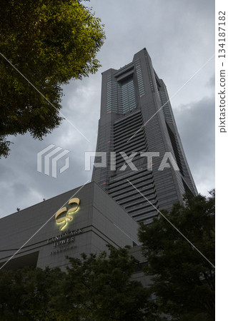 黎明前 黎明前 134187182