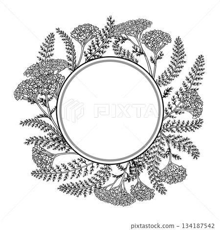 Yarrow Branch Outline Round Frame. Yarrow Branch Outline Round Frame. 134187542