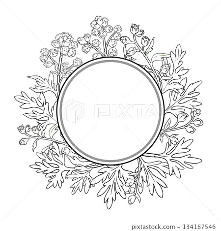 Wormwood Branch Outline Circular Frame Wormwood Branch Outline Circular Frame 134187546