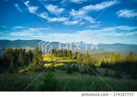 Magnificent view of lush, green meadow bordered by pine trees, with rolling hills and majestic mountains in background. The sky is clear blue with wispy clouds, capturing serene beauty of nature. 134187725