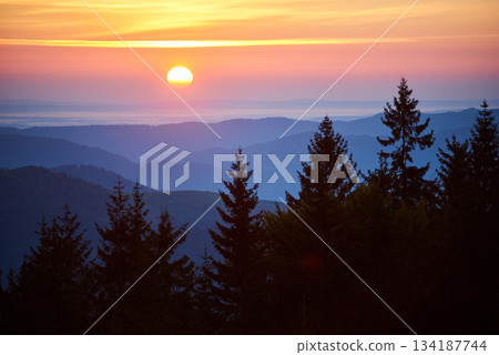 Vivid sunset with sun casting warm gradient of yellow, orange, and pink across sky. Layers of distant mountains create backdrop, while tall pine trees in foreground add depth to breathtaking landscape Vivid sunset with sun casting warm gradient of yellow, orange, and pink across sky. Layers of distant mountains create backdrop, while tall pine trees in foreground add depth to breathtaking landscape 134187744