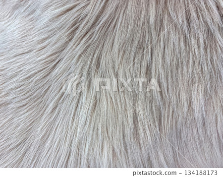 Close-up Texture of Gray faux fur background. Fabric Texture Background. Close-up Texture of Gray faux fur background. Fabric Texture Background. 134188173