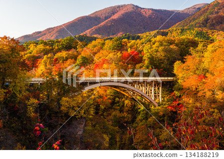 [宮城縣、大崎市、鳴子峽谷]10月鳴子峽谷的秋色美景 134188219