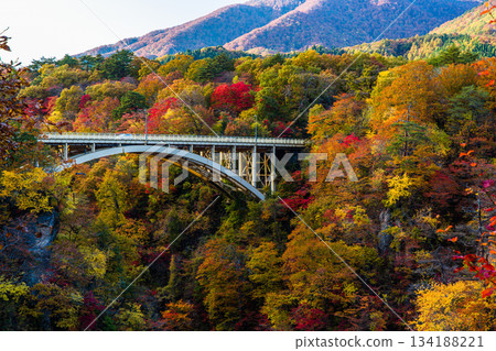 [宮城縣、大崎市、鳴子峽谷]10月鳴子峽谷的秋色美景 134188221