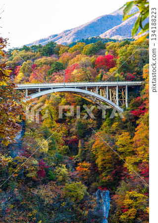 [Miyagi Prefecture, Osaki City, Naruko Gorge] Autumnal beauty of Naruko Gorge in October 134188223