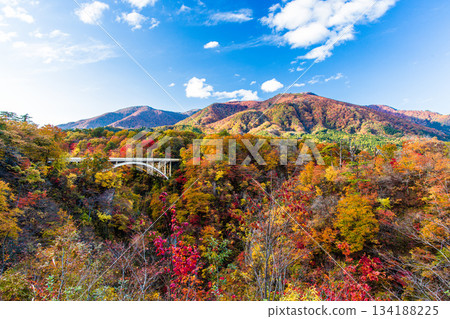 [宮城縣、大崎市、鳴子峽谷]10月鳴子峽谷的秋色美景 134188225