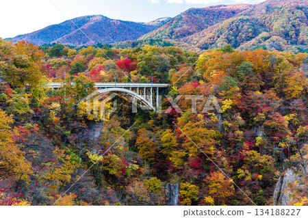 [宮城縣、大崎市、鳴子峽谷]10月鳴子峽谷的秋色美景 134188227
