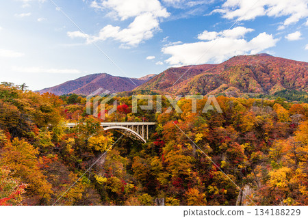[宮城縣、大崎市、鳴子峽谷]10月鳴子峽谷的秋色美景 134188229