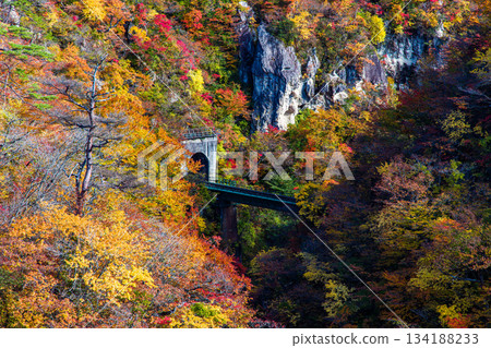 [宮城縣、大崎市、鳴子峽谷]10月鳴子峽谷的秋色美景 134188233
