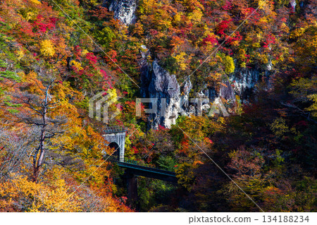 [Miyagi Prefecture, Osaki City, Naruko Gorge] Autumnal beauty of Naruko Gorge in October 134188234