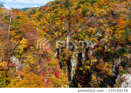 [宮城縣、大崎市、鳴子峽谷]10月鳴子峽谷的秋色美景 134188236