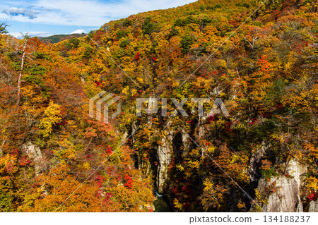[宮城縣、大崎市、鳴子峽谷]10月鳴子峽谷的秋色美景 134188237