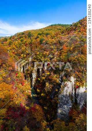 [宮城縣、大崎市、鳴子峽谷]10月鳴子峽谷的秋色美景 134188240