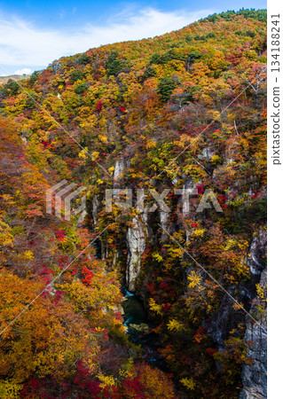 [宮城縣、大崎市、鳴子峽谷]10月鳴子峽谷的秋色美景 134188241