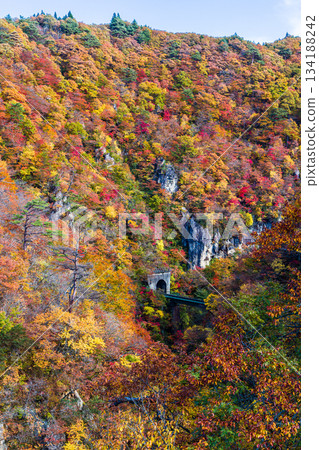 [Miyagi Prefecture, Osaki City, Naruko Gorge] Autumnal beauty of Naruko Gorge in October 134188242