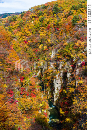 [宮城縣、大崎市、鳴子峽谷]10月鳴子峽谷的秋色美景 134188243