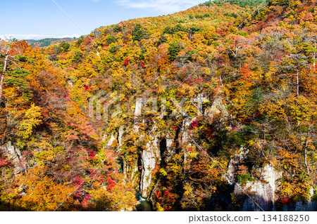 [宮城縣、大崎市、鳴子峽谷]10月鳴子峽谷的秋色美景 134188250