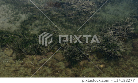 Seas of shallow water Seas of shallow water 134188277