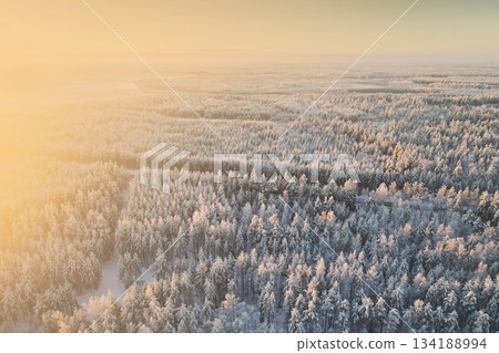 Aerial view of the winter forest and the road. Beautiful landscape in bright sunset light 134188994