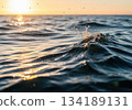 Dramatic low angle shot of ocean waves splashing with golden sunlight reflecting on the water. 134189131
