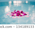 Vibrant purple orchids and delicate pink petals floating gracefully on calm, rippling blue water. 134189133