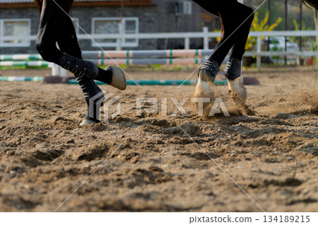 A photograph of a horse's hooves galloping across an earthen arena on a sunny summer day. Equestrian sport and horseback riding. Dust from under the horse's hooves. 134189215
