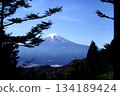 Mount Fuji can be seen through the trees 134189424