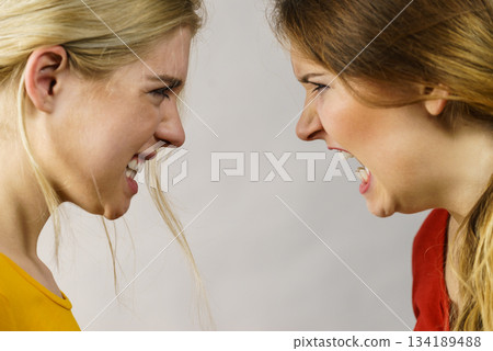 Angry fury girls screaming at each other 134189488
