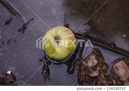 apple, fruit, letter 134189767
