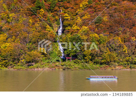 [Yamagata Prefecture_Shiraito Falls] Shiraito Falls with Autumn Leaves and Boat Ride through Autumn Leaves October November 134189885