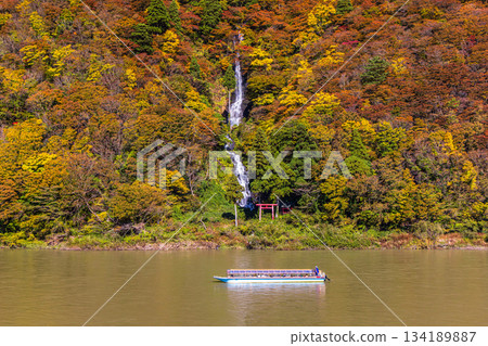 [Yamagata Prefecture_Shiraito Falls] Shiraito Falls with Autumn Leaves and Boat Ride through Autumn Leaves October November 134189887
